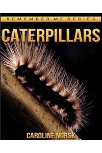 Caterpillars