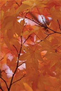 Pallid Leaves Journal