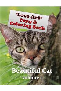 Love Art Copy & Coloring Book