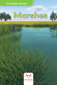 Marshes