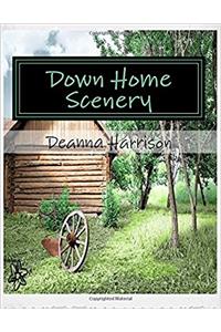 Down Home Scenery Adult Coloring Book