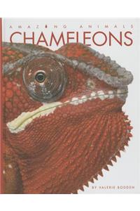 Chameleons