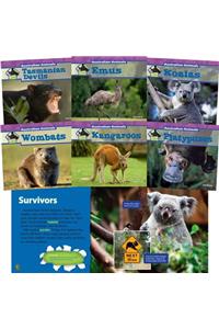 Australian Animals (Set)