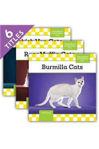 Cats Set 9