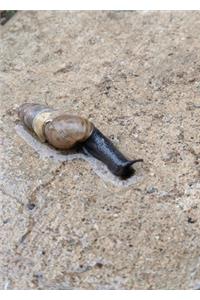 Slug Life Sketchbook