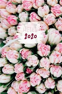 Hello 2020