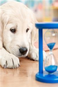 2020 Daily Planner Cute Lab Puppy Watches Sands Through Hourglass 388 Pages