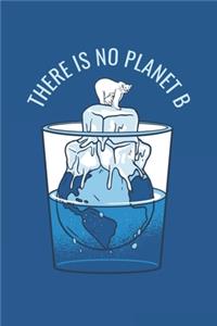 There is no Planet B: Notizbuch, Notizblock, Buch mit 120 linierten Seiten