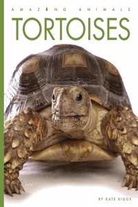 Tortoises