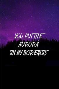 You Put The Aurora In My Borealis