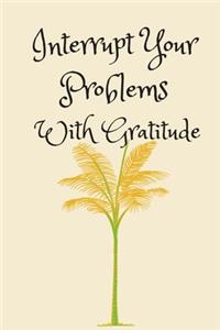 Interrupt Your Problems With Gratitude