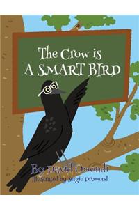 The Crow Is a Smart Bird.