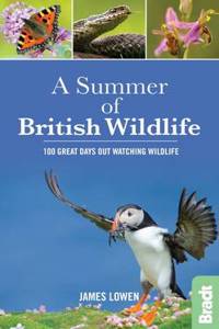 A Summer of British Wildlife