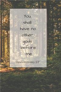 You shall have no other gods before me.