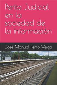 Perito Judicial En La Sociedad de la Información