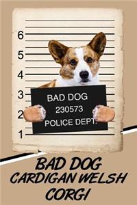 Bad Dog Cardigan Welsh Corgi