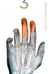 Napier's Bones