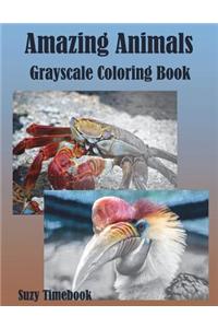 Amazing Animals Grayscale Coloring Book