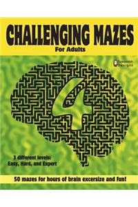 Challenging Mazes for adults 4