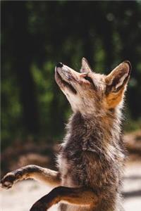 Curious Dancing Fox Notebook