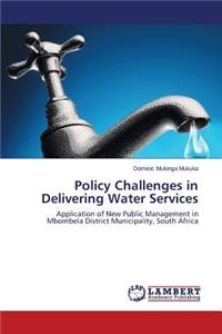 Policy Challenges in Delivering Water Services