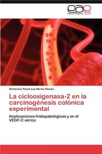 Ciclooxigenasa-2 En La Carcinogenesis Colonica Experimental