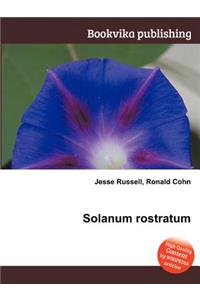 Solanum Rostratum