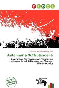 Antennaria Suffrutescens