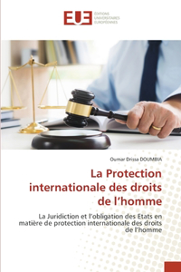 Protection internationale des droits de l'homme