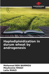 Haplodiploidization in durum wheat by androgenesis