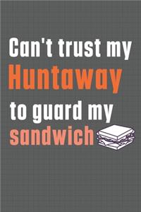Can't trust my Huntaway to guard my sandwich