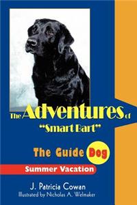 Adventures of Smart Bart
