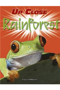 Rainforest