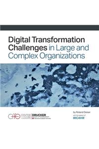 Digital Transformation Challenges in Large and Complex Organizations