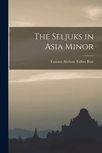 Seljuks in Asia Minor