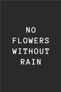No Flowers Without Rain