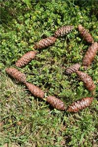 Pine Cone Heart in the Grass Journal