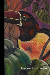 Toucanette Toucan