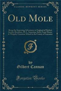 Old Mole: Being the Surprising Adventures in England of Herbert Jocelyn Beenham, M.A., Sometime Sixth-Form Master at Thrigsby Grammar School in the County of Lancaster (Classic Reprint)