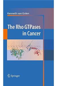 Rho Gtpases in Cancer