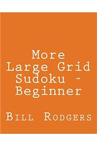 More Large Grid Sudoku - Beginner