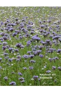 Notizbuch XXL Bienenweide