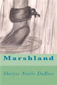 Marshland