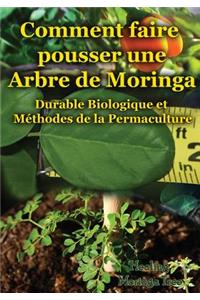 Comment faire pousser une Arbre de Moringa