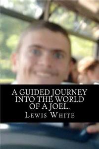 A guided journey into the world of a Joel.