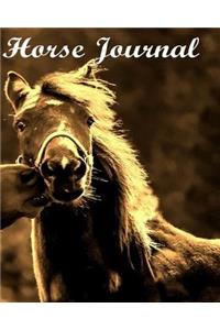 Horse Journal