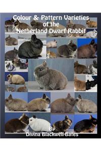 Colour & Pattern Varieties of the Netherland Dwarf Rabbit