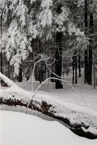 Winter Journal Fallen Tree Snow