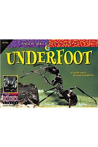 Underfoot