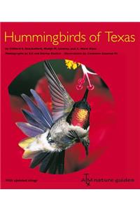 Hummingbirds of Texas